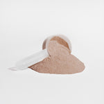Plant Protein Chocolate Powder